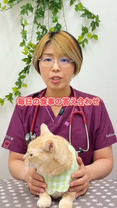 すべてのキャットフード・猫製品 - ニュートロ™公式通販